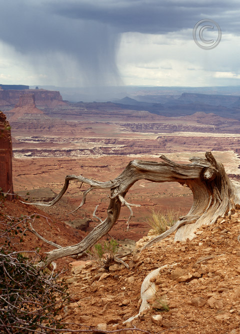 Canyonlands