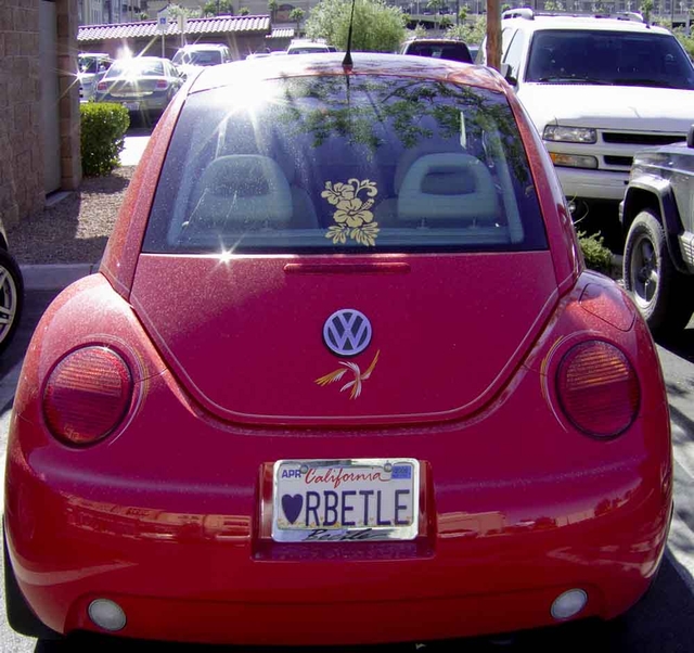 love those beetles