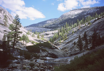 near_cascades_sd